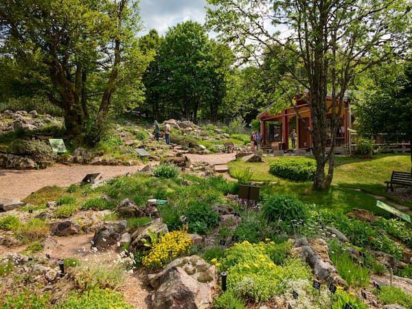 Jardin d’altitude du Haut-Chitelet dans les Vosges
