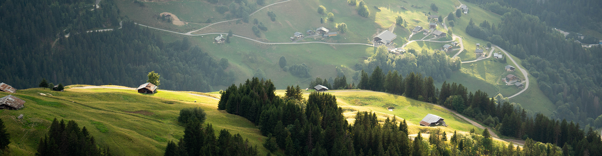 Paysage d'alpages avec prés verdoyants et maisons.