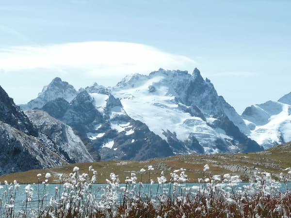 Paysage de montagne avec des plantes et un lac au premier plan, et des sommets enneigés en arrière plan.